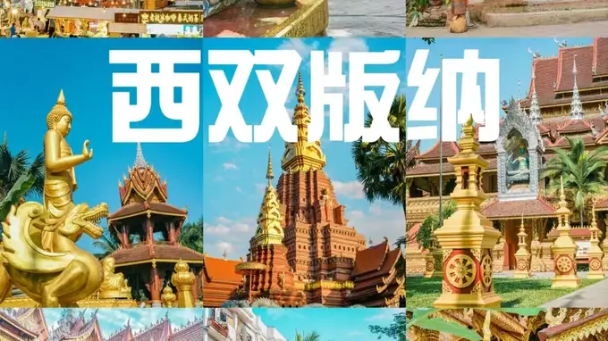 2026暑期西双版纳雨林傣韵出行全攻略 核心玩法避坑指南