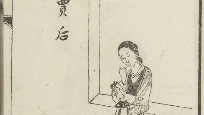 贾南风的模样何来？