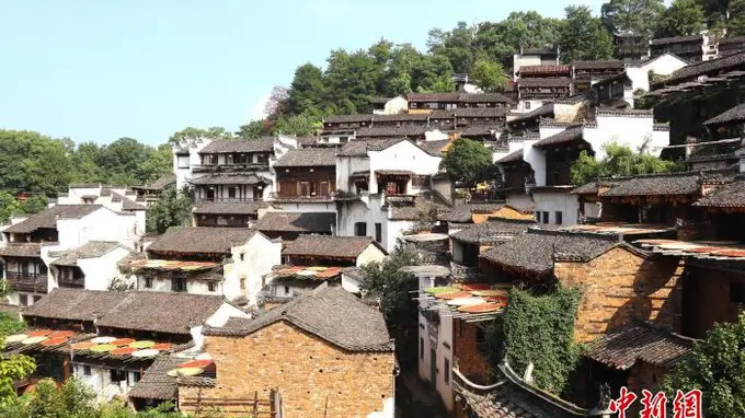 篁岭立秋启动晒秋文化季 屋顶盛景引客来
