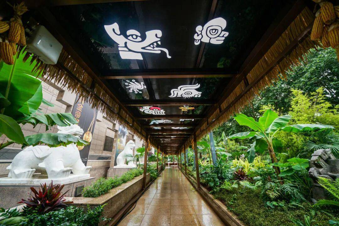 上博美洲古代文明大展正式启幕！大量镇馆级文物首次来到中国